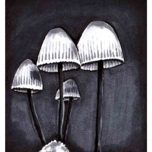 Black-and-white illustration of four mushrooms with bell-shaped caps & long dark stems rising from a textured mound against a dark background.