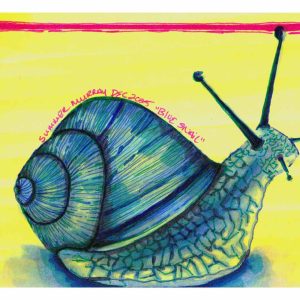 A blue-green snail with a large spiral shell & tall eyestalks against a bright yellow background framed by pink lines.