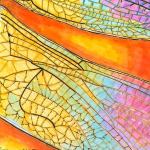 Close-up of illustrated dragonfly wings with fine black vein patterns over yellow, turquoise, pink & purple, against a bright orange background.