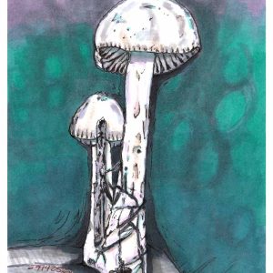 Two white mushrooms of different heights with visible gills & textured stems, against a teal-green & purple background.