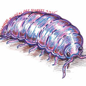A roly-poly drawn in pink, blue & purple, facing right with extended antennae, small legs & a shadow beneath its segmented shell.