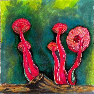 Five bright red ruby bonnet mushrooms growing from a log, viewed from below to show their gills against a green & teal background.