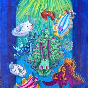 Colorful sea slugs with spotted, striped & spiky bodies arranged against a blue underwater background with yellow-green light above.
