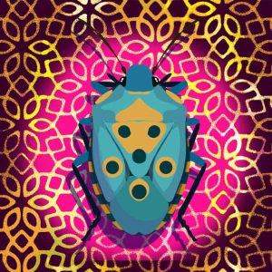 A digital illustration of a beetle